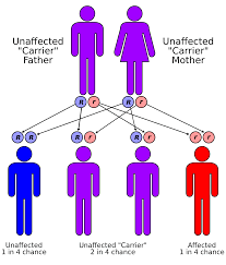 thalassemia